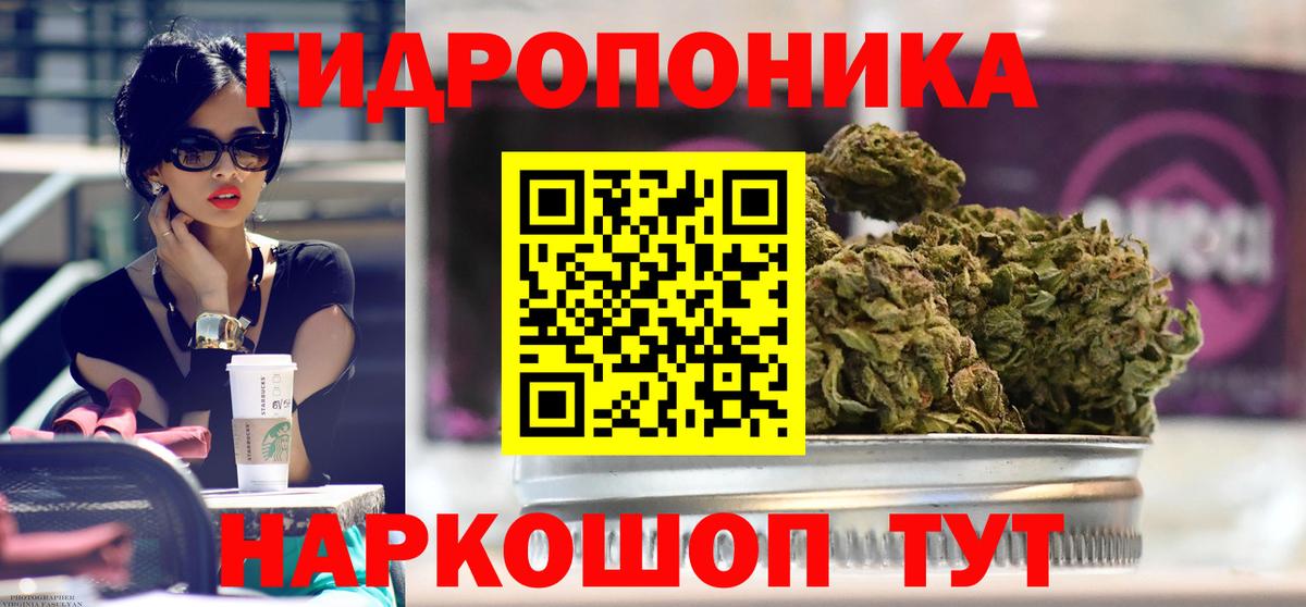 Бошки марихуана Bruce Banner  Каннабис конопля  Вход с VPN  Канабис THC 21%  Прокопьевск 